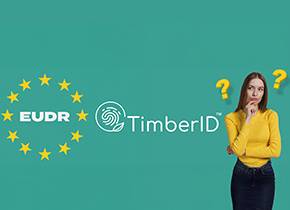 Jak TimberID pomoże Ci w pełnym wykorzystaniu wprowadzonych „uproszczeń” w ramach EUDR?