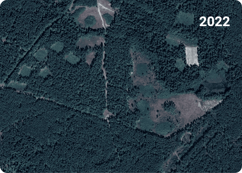 deforestation 2022
