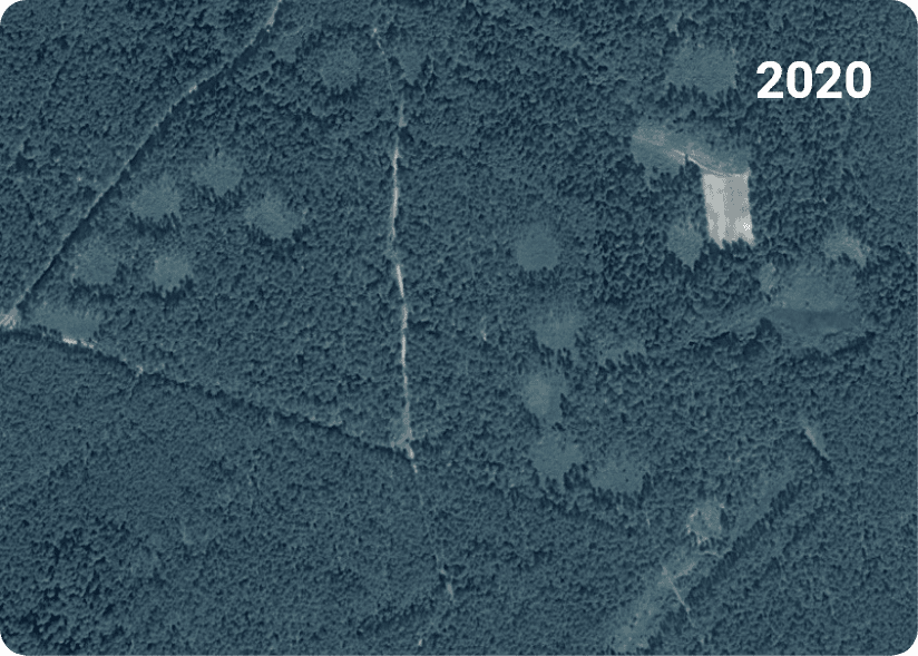 deforestation 2020