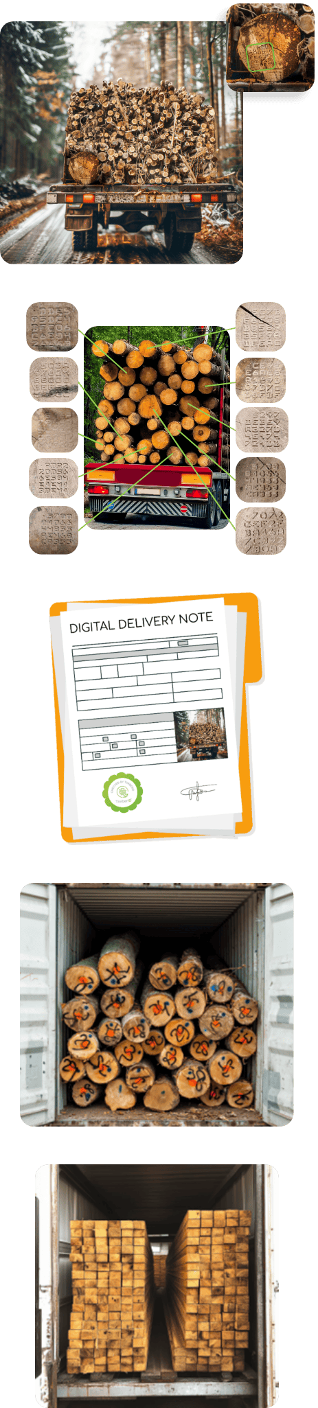 DDN mobile